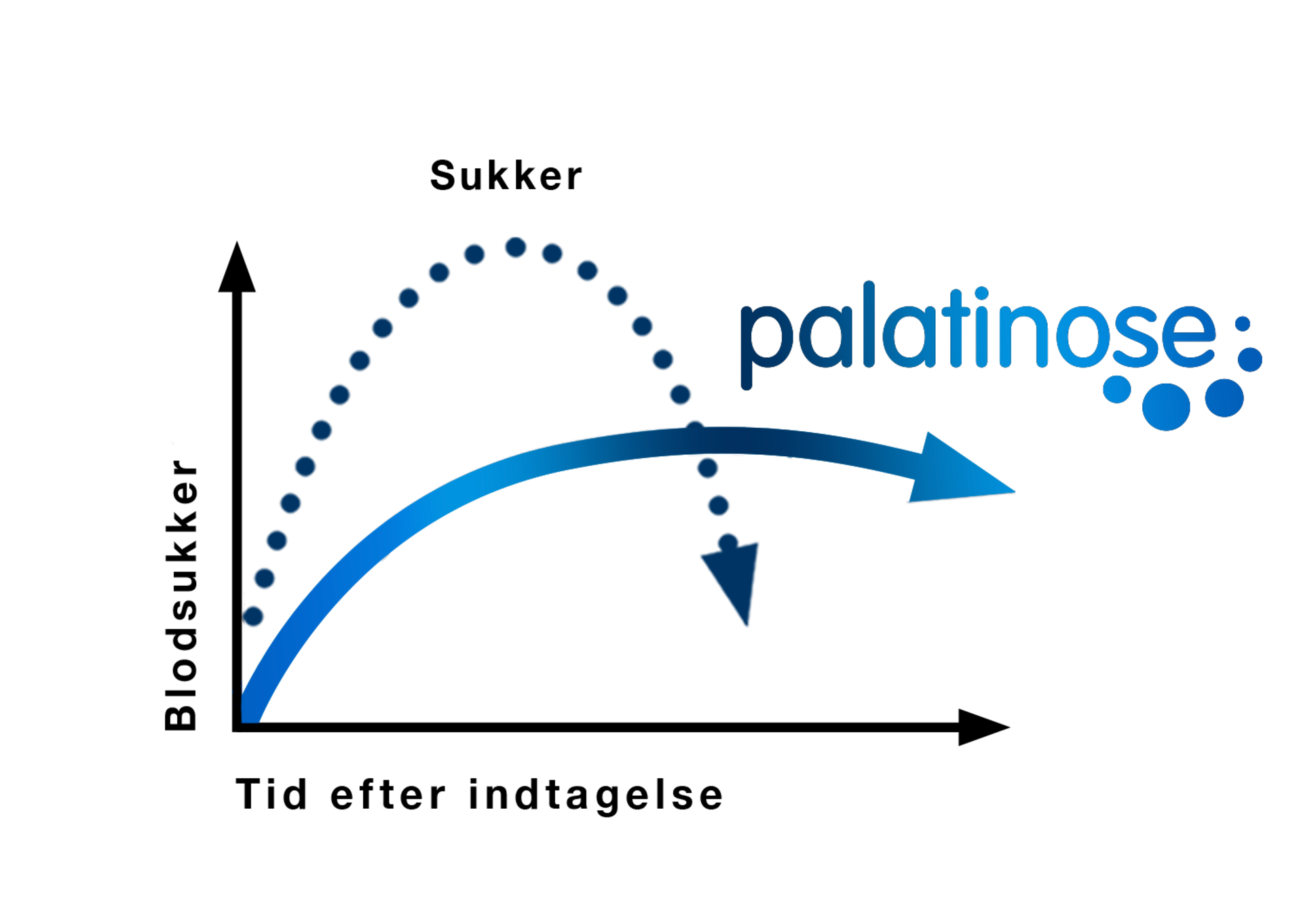 What is Palatinose™ (Isomaltulose)?